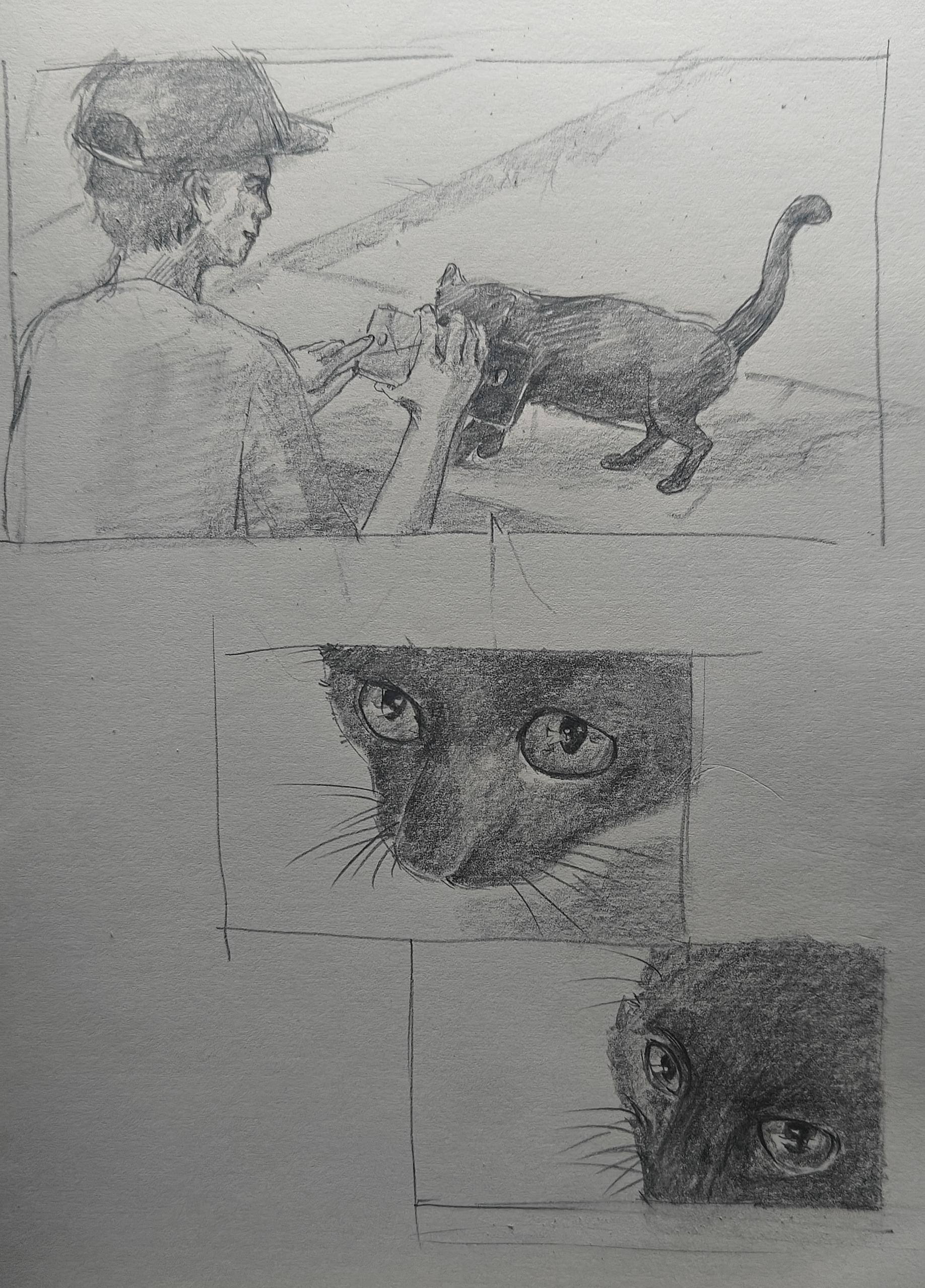 博主绘，或许博主的猫咪缘尚可~~